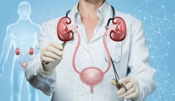 O značajkama lijeka za prostatitis Weiprost